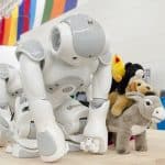 NAO robots by Aldebaran/Softbank